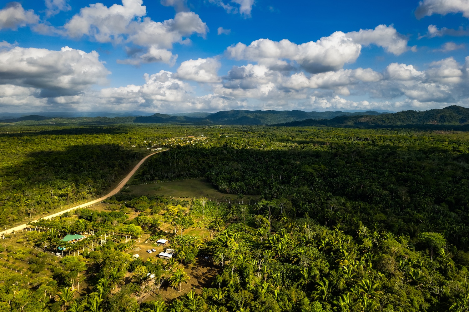 FARM OVERVIEW