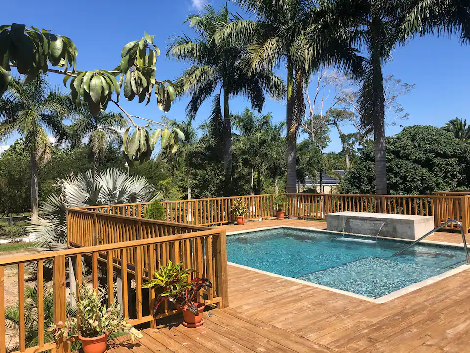 pool and deck