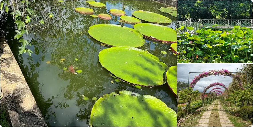 Belize Spice Farm & Botanical Garden - South Belize
