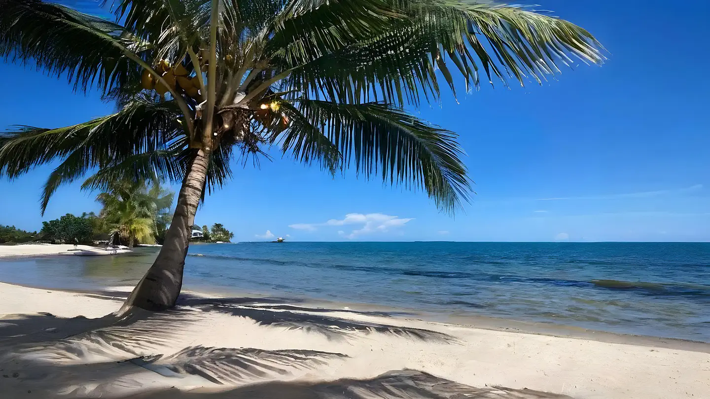 beach1HR