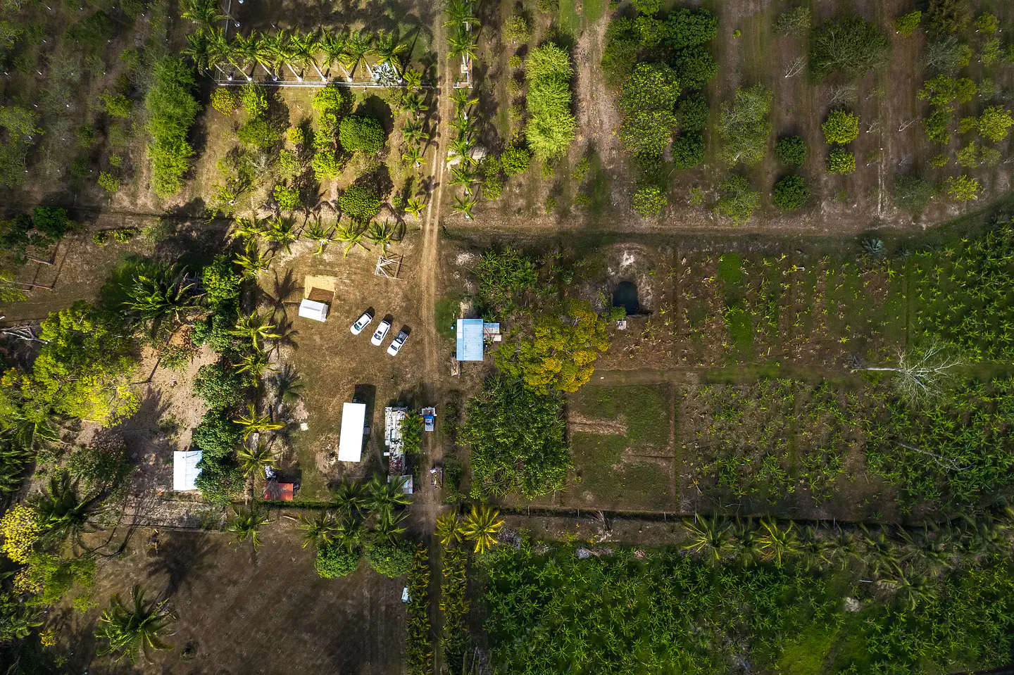 drone8-1055 farm-orto