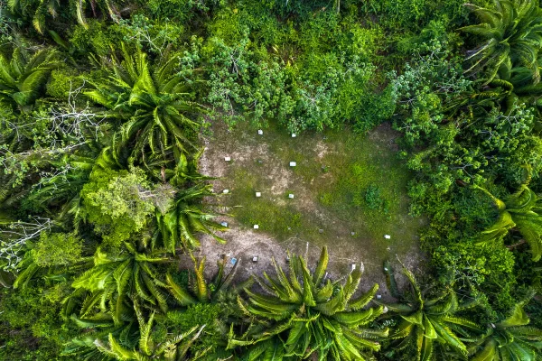 drone8-1063 beefarm2