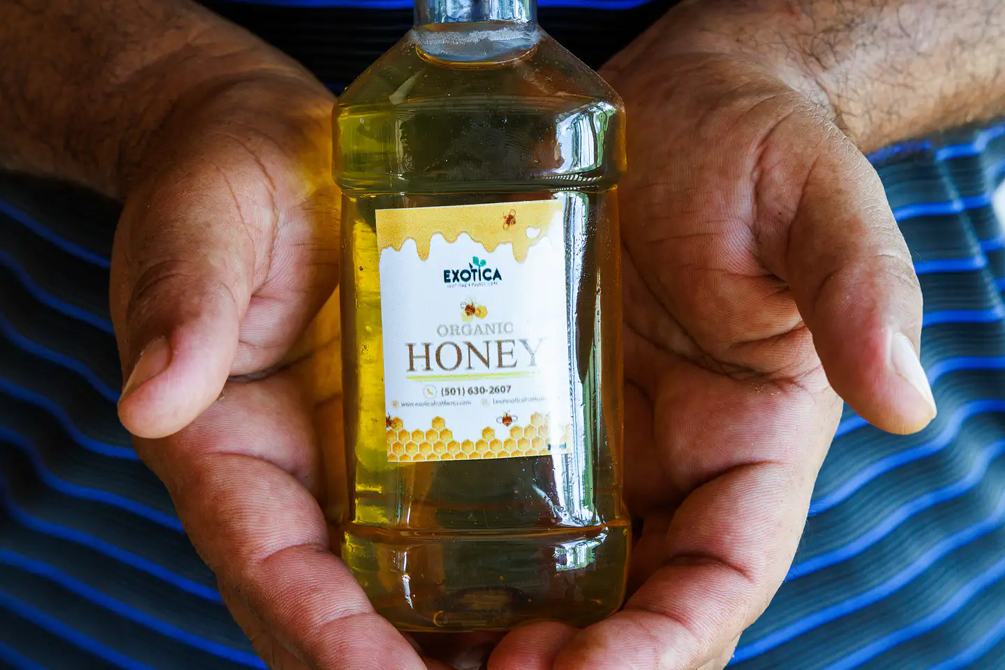 honey-hand_1119