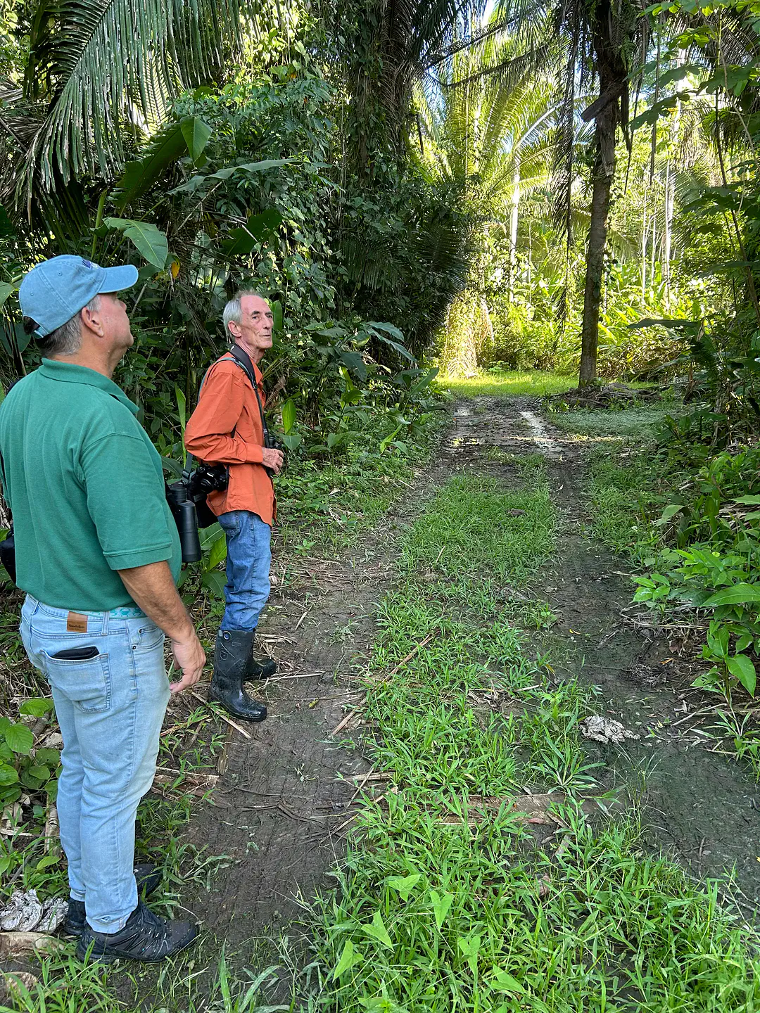 jungle-birding2