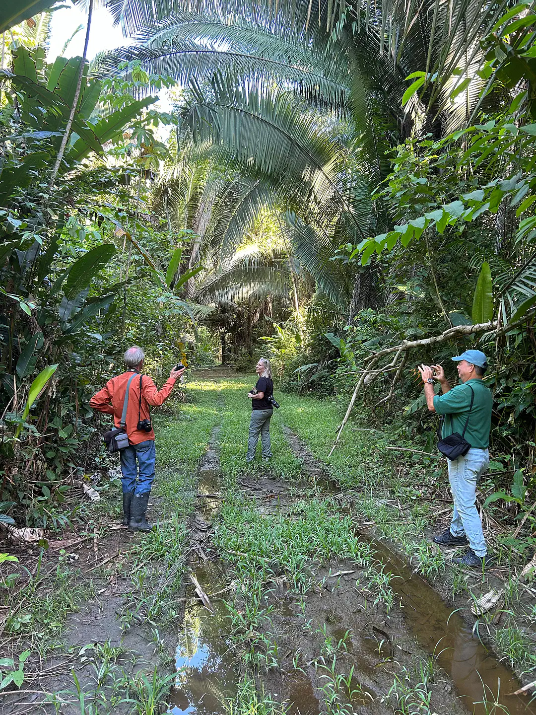 jungle-birding3