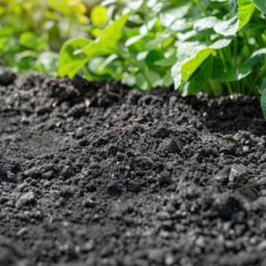 Topsoil Mixed with Compost (100lb)